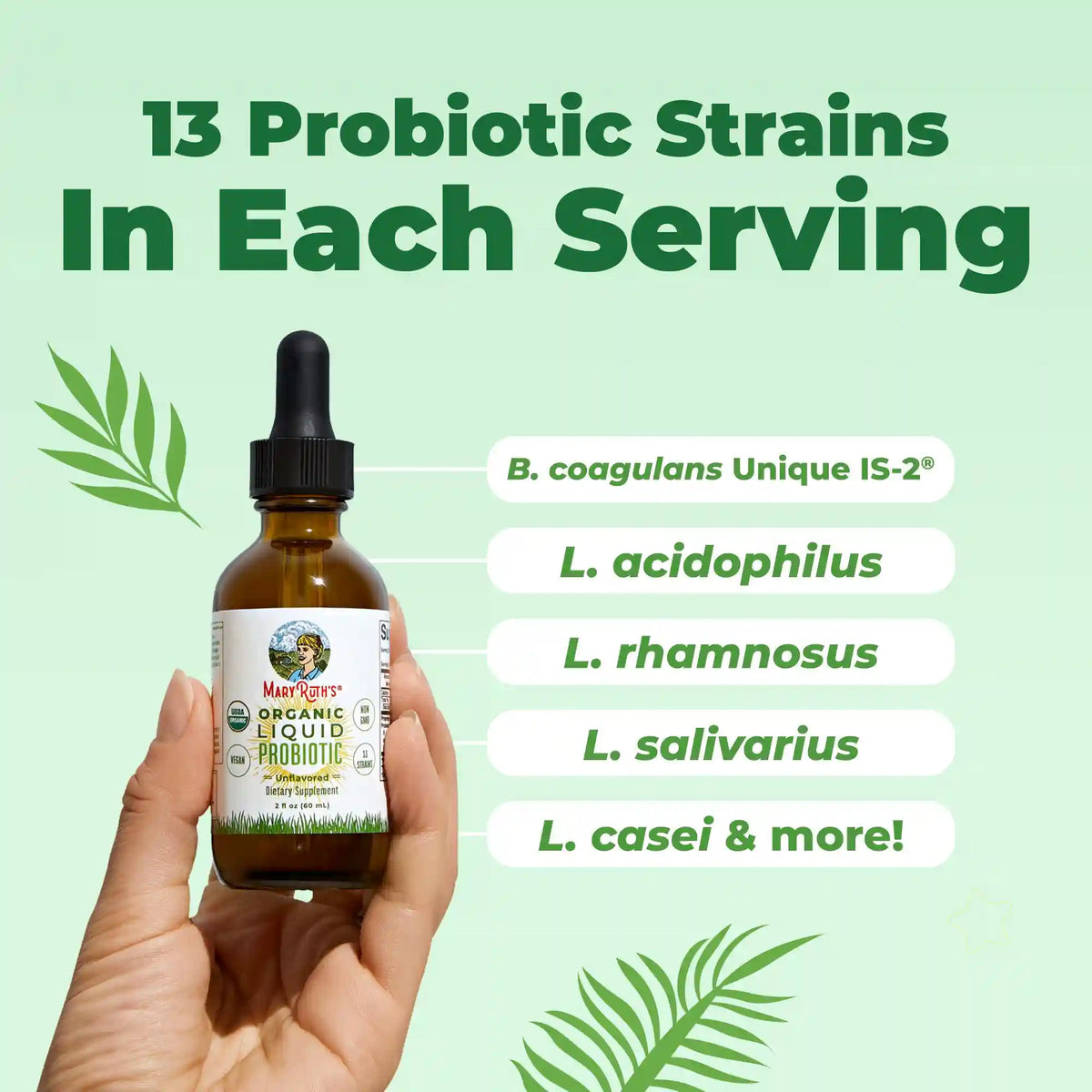 Organic Liquid Probiotic Travel Size
