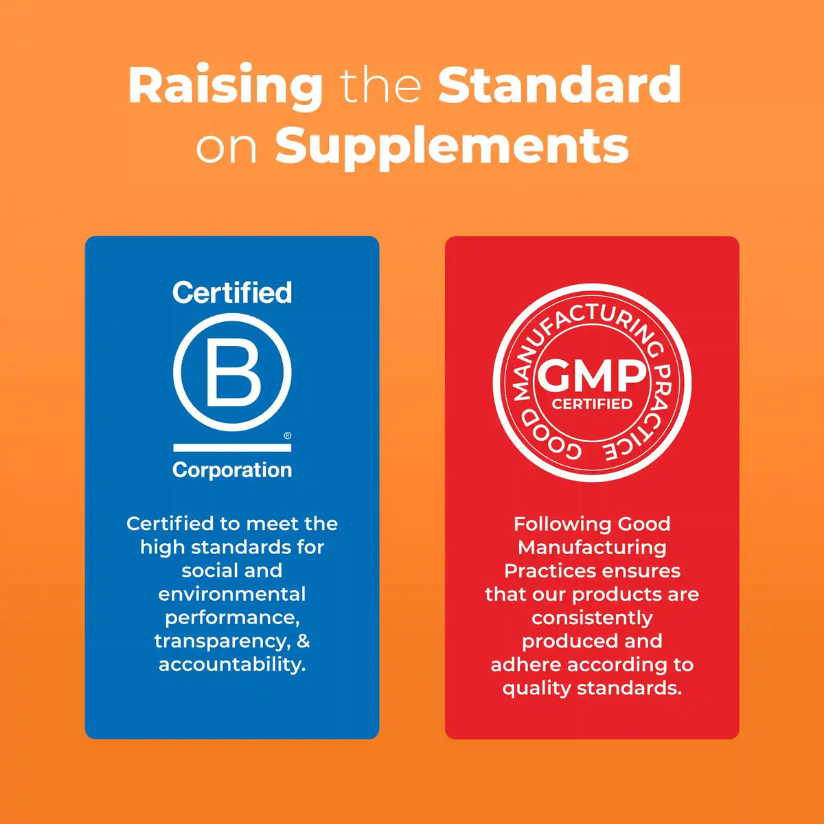 Adult Multivitamin Gummies